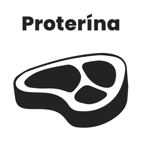 PÁGINA WEB -15